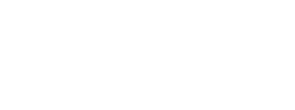 The Court Logo